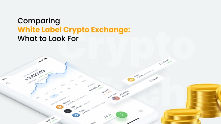 Comparing White Label Crypto Exchange: What to Look For