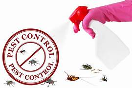 Taking Charge Of Your Home's Pest Control For A Safe And Healthy Living Environment