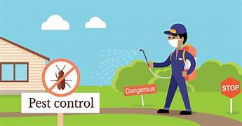 Pest Control: Ensuring A Hygienic Living Environment For You And Your Family