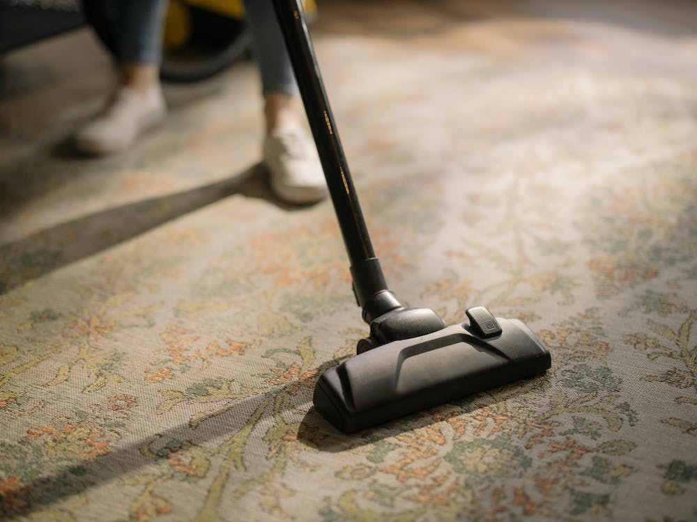Revitalize Your Space: Unveiling Expert Carpet Cleaning Services in NY