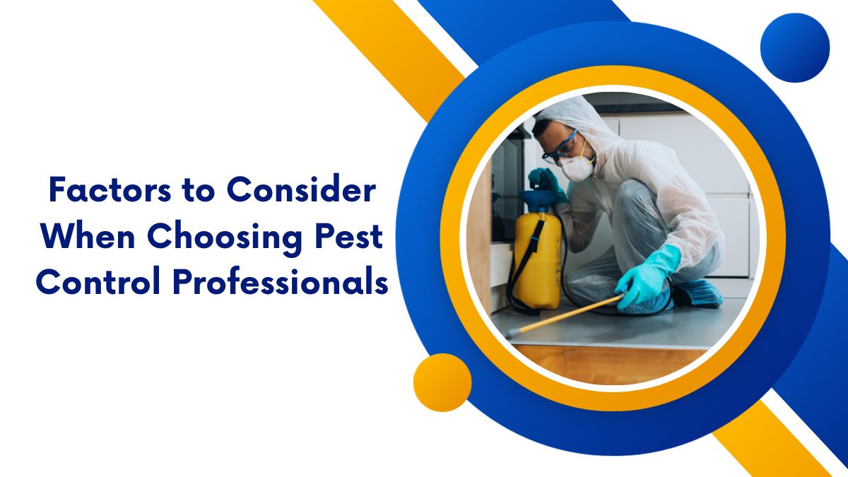 Factors to Consider When Choosing Pest Control Professionals