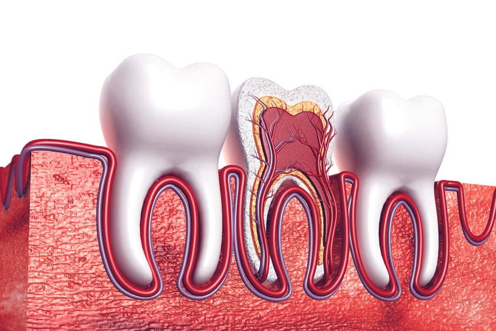 The Ultimate Guide To Finding The Best Root Canal Specialist