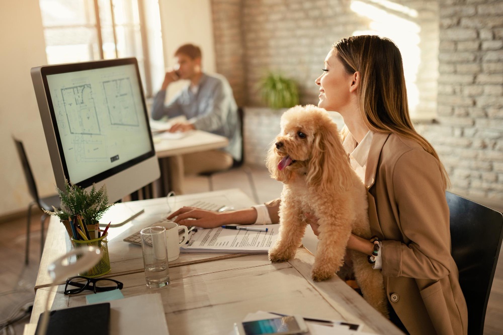 Emotional Support Animals in the Workplace: A Paw-sitively Productive Solution