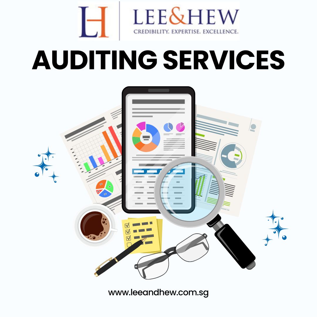 Trustworthy Auditing Solutions for Singaporean Businesses