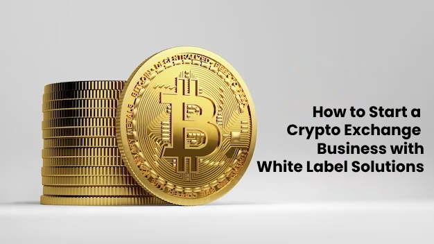 How to Start a Crypto Exchange Business with White-Label Solutions