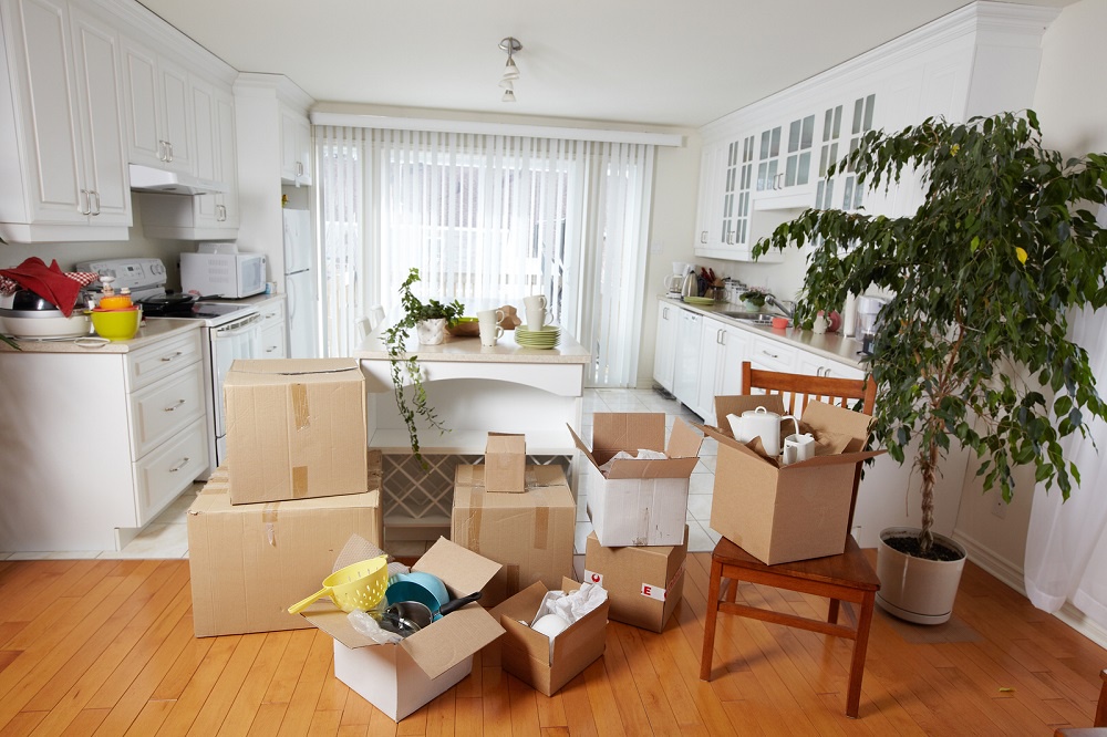 Top 10 Move-Out Cleaning Hacks for a Stress-Free Departure