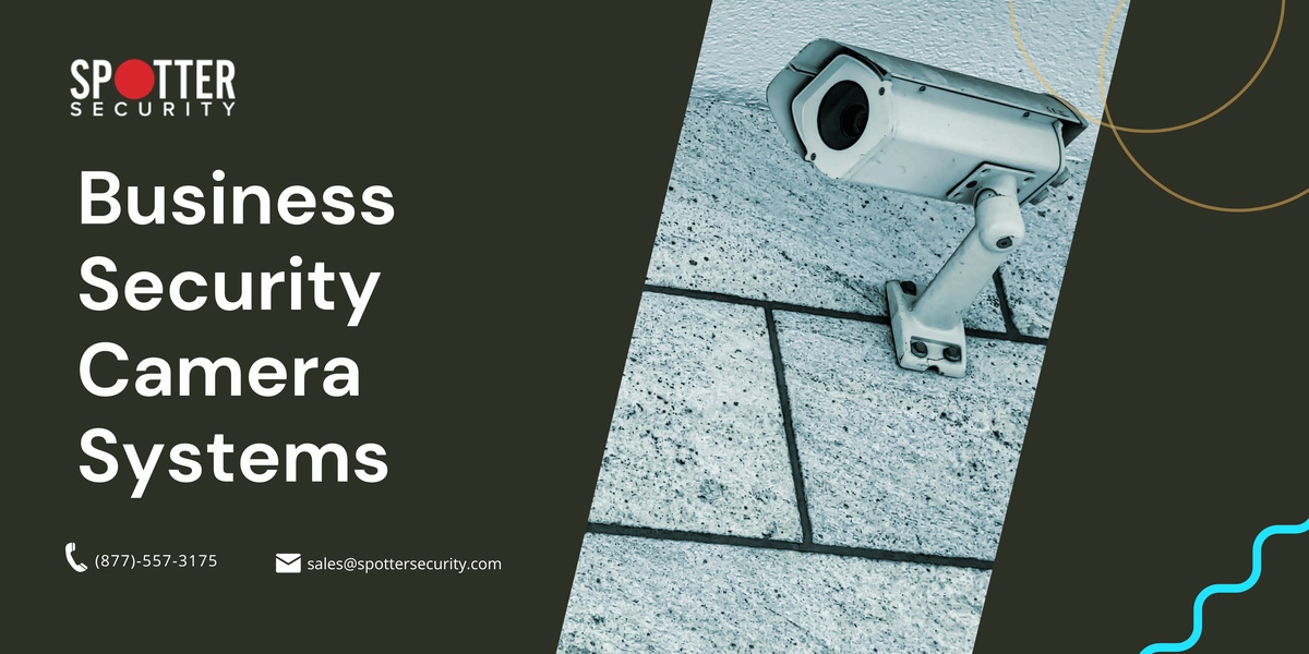 From Theft to Productivity: How Security Cameras Transform Businesses