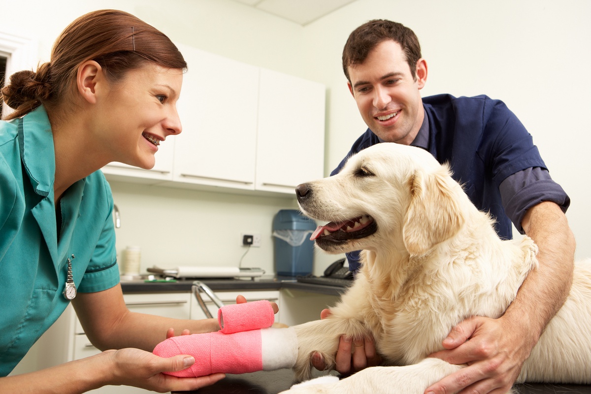 Does Pet Insurance Cover All Pets?