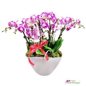 Orchid Arrangements: A Versatile and Stunning Choice for All Occasions