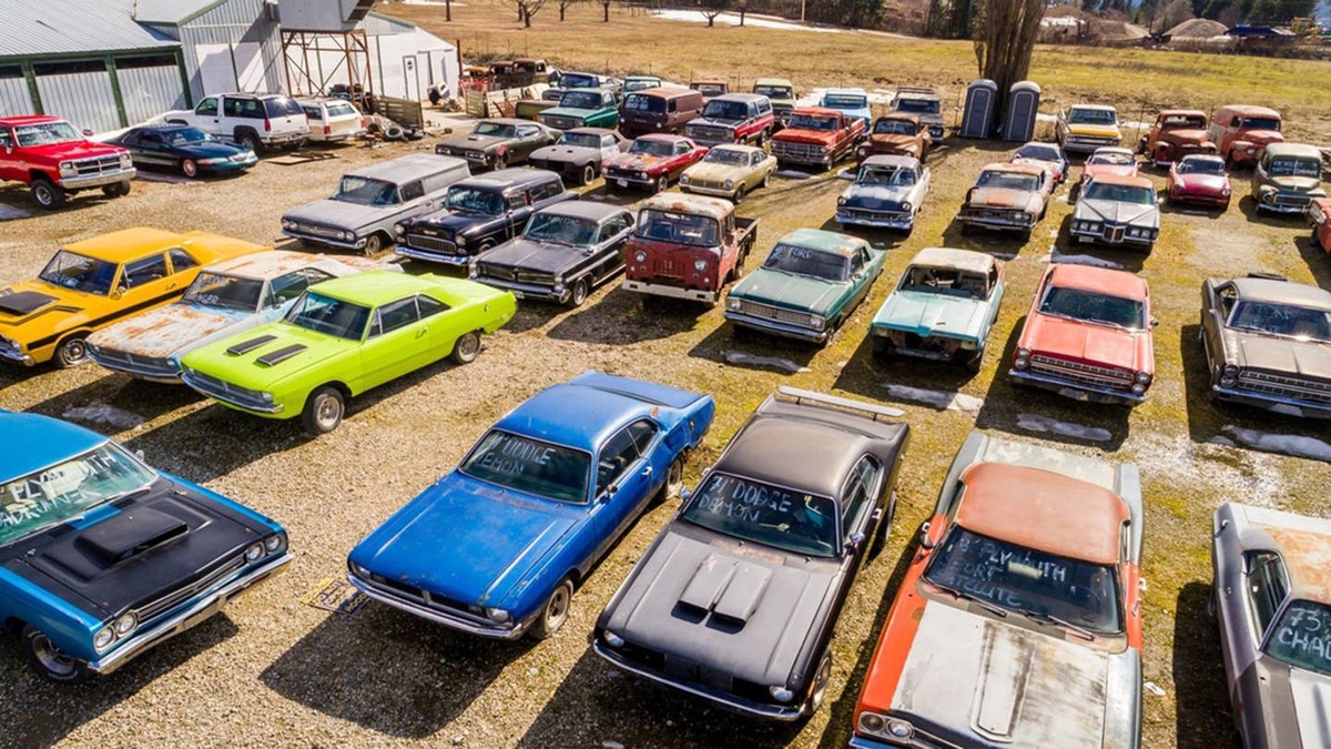 The Ultimate Guide to Finding Reliable Car Yards