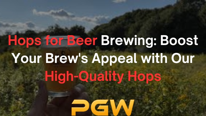 Hops for Beer Brewing: Boost Your Brew's Appeal with Our High-Quality Hops