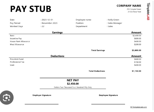 The Anatomy of a Perfect Check Stub: Tips and Tricks