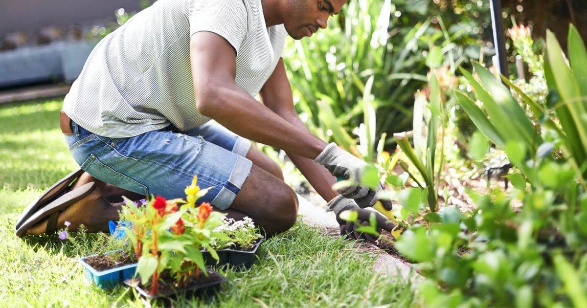 The Benefits of Organic Gardening: Why You Should Go Green