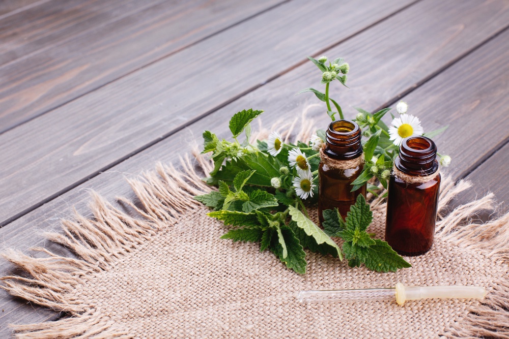 Discovering Wellness: Finding the Best Homeopathy Clinic Near You and Its Benefits