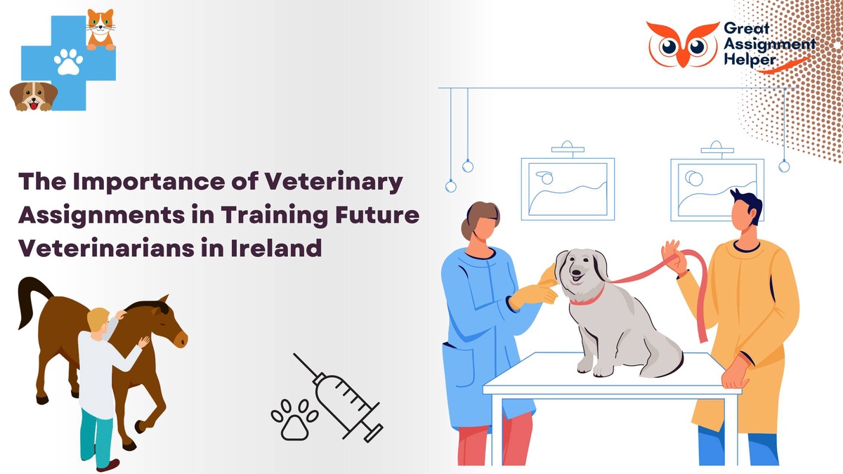 The Importance of Veterinary Assignment Help in Training Future Veterinarians in Ireland
