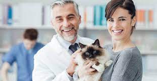 What Is Pet Insurance That Pays Vet Directly?