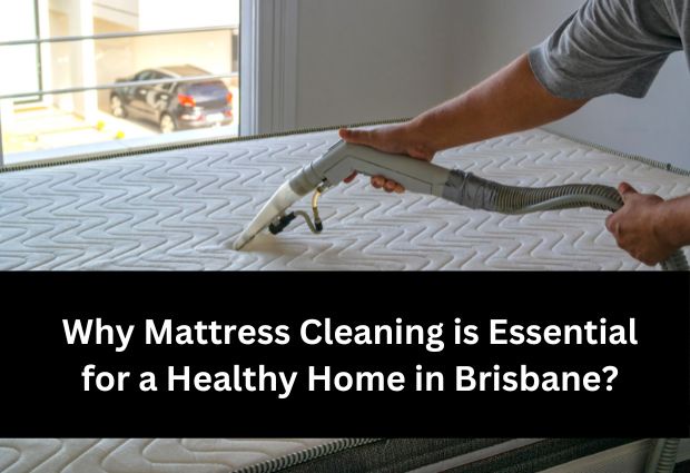 Why Mattress Cleaning is Essential for a Healthy Home in Brisbane?