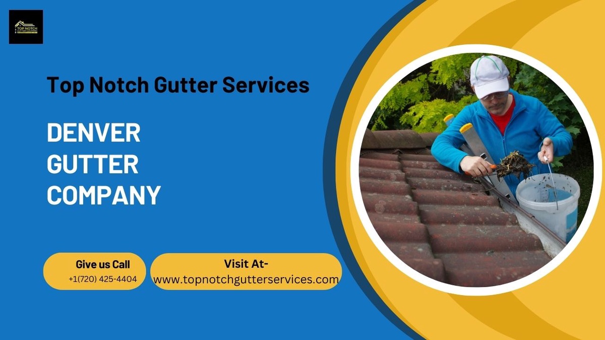 Protect Your Home from Water Damage with Denver's Best Gutter Company