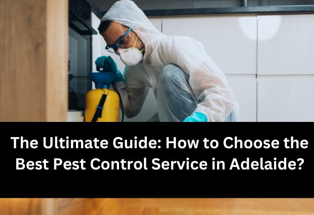 The Ultimate Guide: How to Choose the Best Pest Control Service in Adelaide?