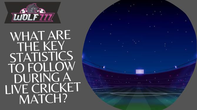 What are the key statistics to follow during a live cricket match?