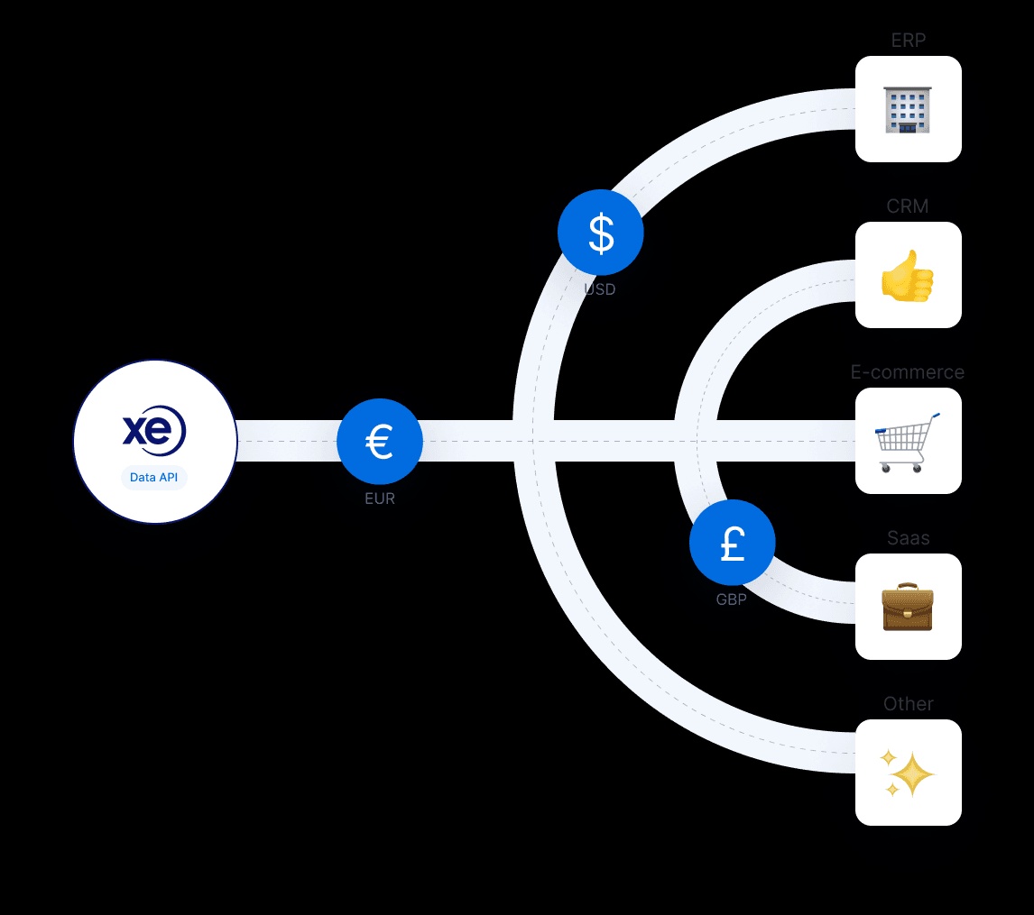 Understanding the Time Series Endpoint in Foreign Exchange Rates API