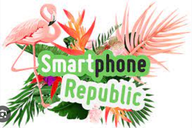 SmartphoneRepublic and Assurance Wireless; Checking Application Status