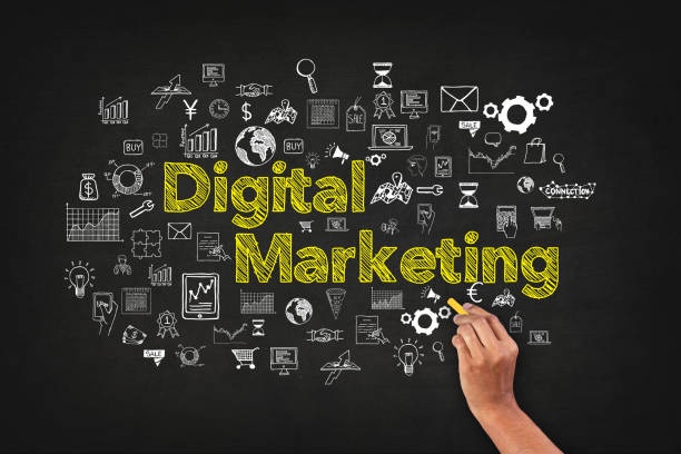 Using 6 Digital Marketing Services In Noida Strategies Like The Pros