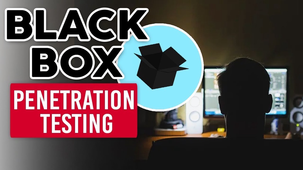 Black-Box Penetration Testing: Advantages, Disadvantages, Techniques, and Tools