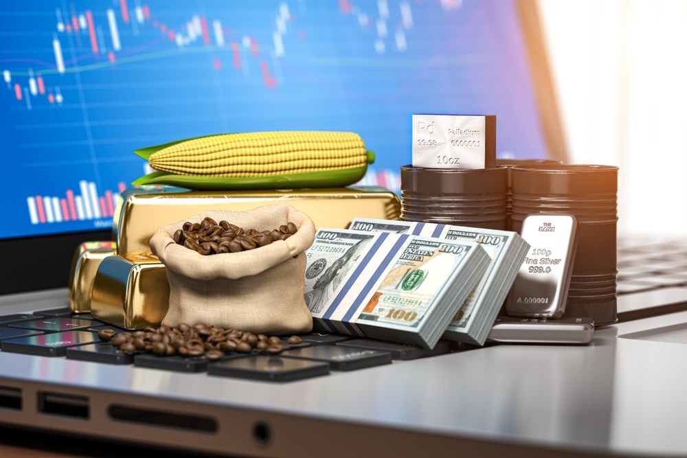 A Deep Dive into Commodity Price Prediction in Forex and Beyond with PriceVision