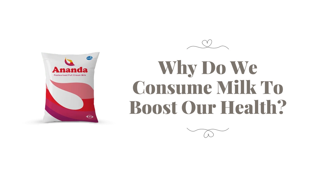 Why Do We Consume Milk To Boost Our Health?