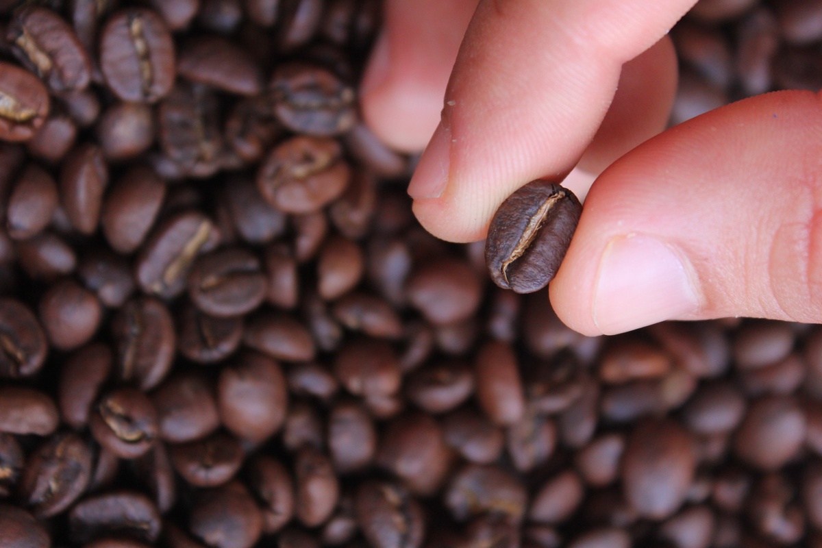 How to Buy Coffee Beans Online Without Breaking the Bank