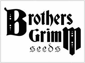 A Comprehensive Guide To Indoor Brothers Grimm Seeds for Sale Cultivation