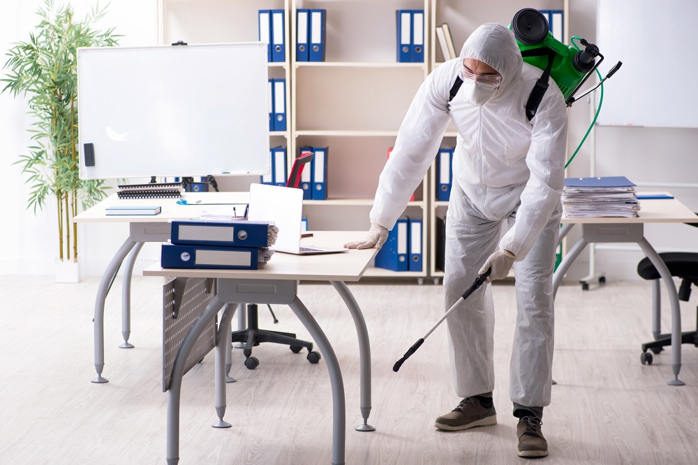 Importance of Professional Pest Control Services for Your Commercial Spaces