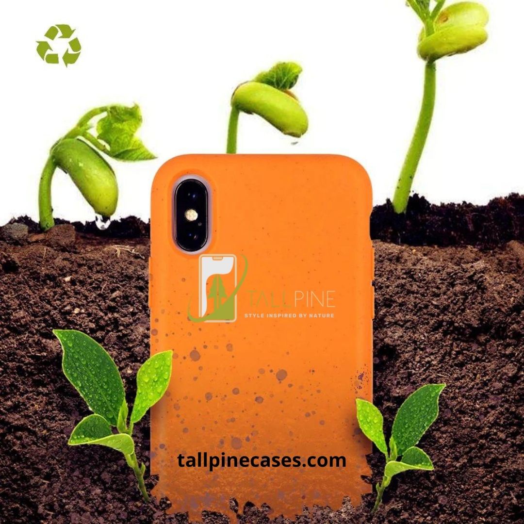 Compostable Phone Cases: Innovation with Environmental Impact