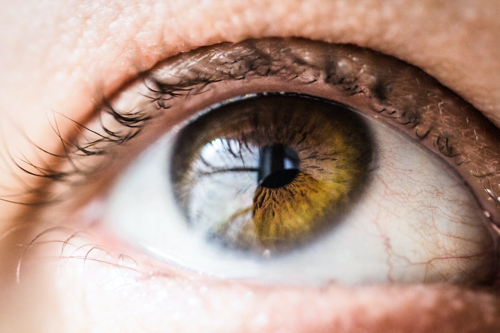 Understanding Dry Eyes: Causes, Symptoms, and Treatment Options