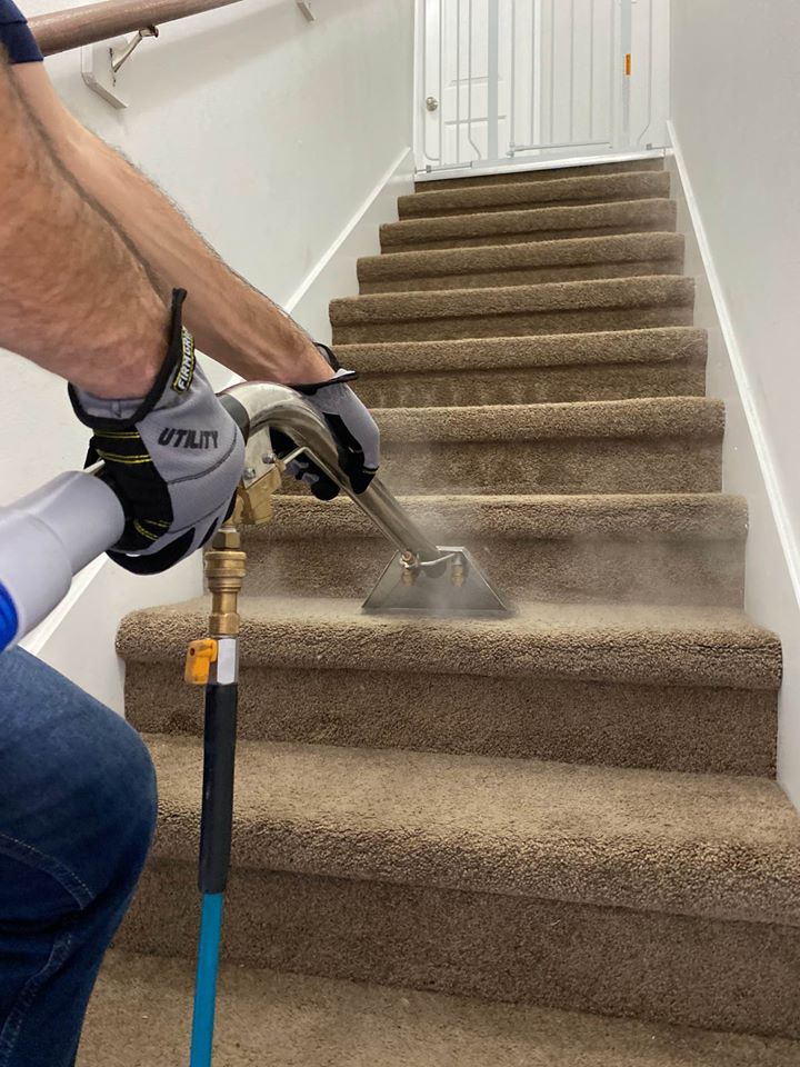 Carpet Cleaning : Unveiling the Secrets to a Truly Spotless Home