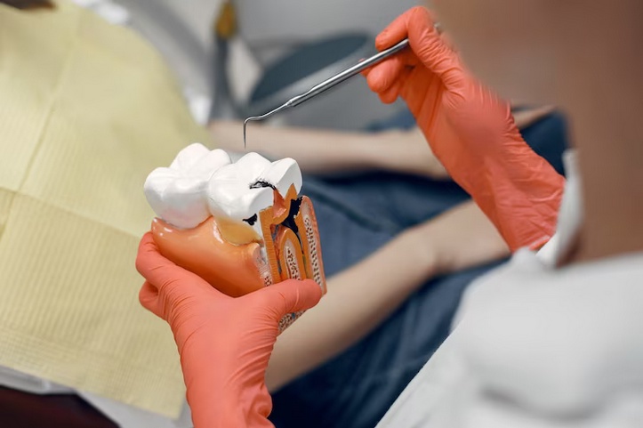Rockwall's Kiddie Dental Haven: Finding the Perfect Pediatric Dentist
