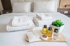 Hidden Gems: Unconventional Hotel Amenities That Surprise and Delight - Small Details, Big Impressions – Your Guide to Hotel Amenities!