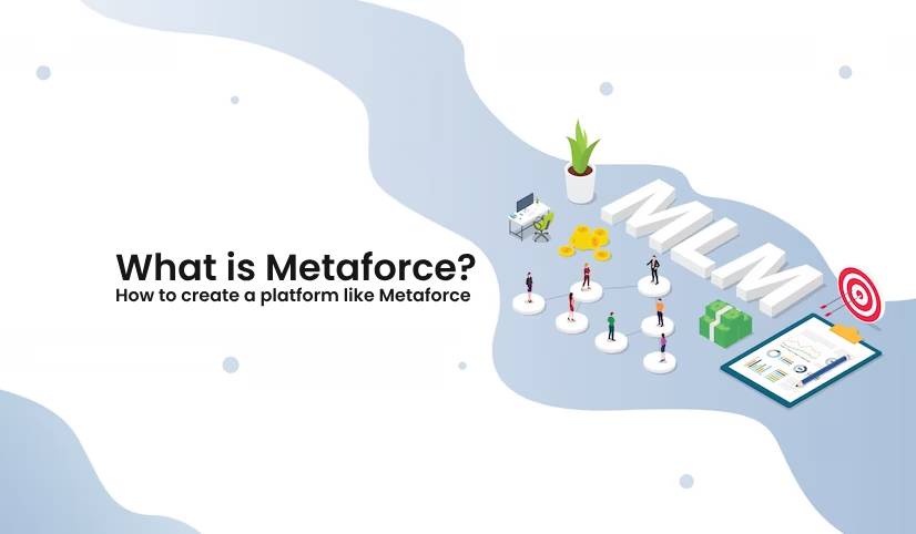 What is Metaforce? How to create a platform like Metaforce