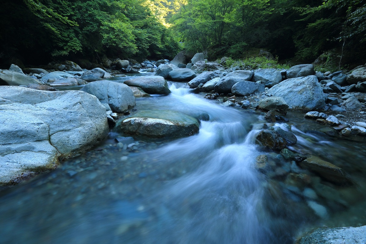 Eedr River Adventures: Navigating Nature's Waterways