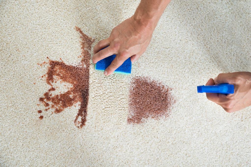 The Science of Stain Removal: Carpet Cleaning Tips and Tricks for NJ Residents