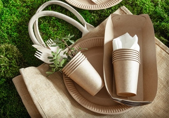 Embracing Sustainability: The Versatility of Bamboo Eco-Friendly Products