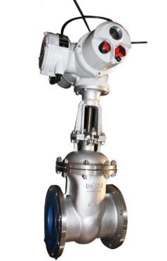 Electric Actuated Valve Supplier in Argentina