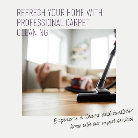 Skilled Carpet Cleaners Queenstown Residents Rely on