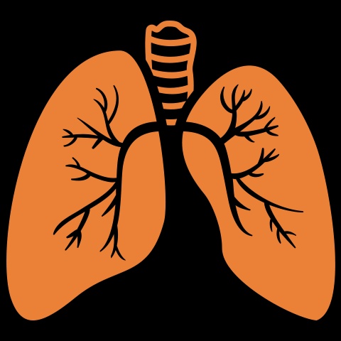 Lung Cancer Treatment in Gurgaon