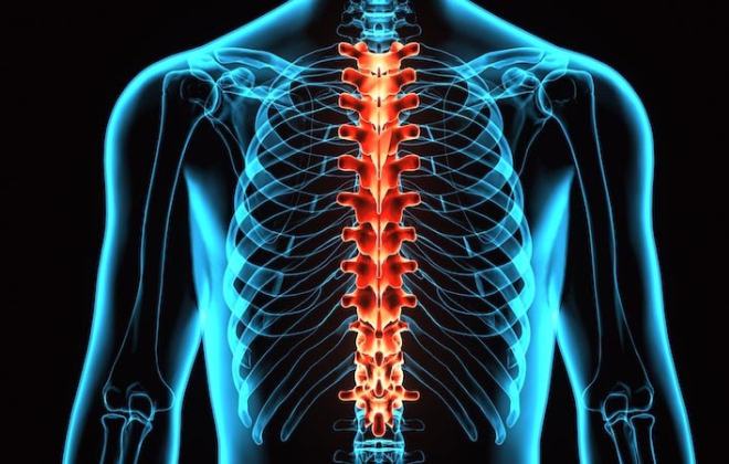 Coping with Spinal Cord Injuries: A Guide