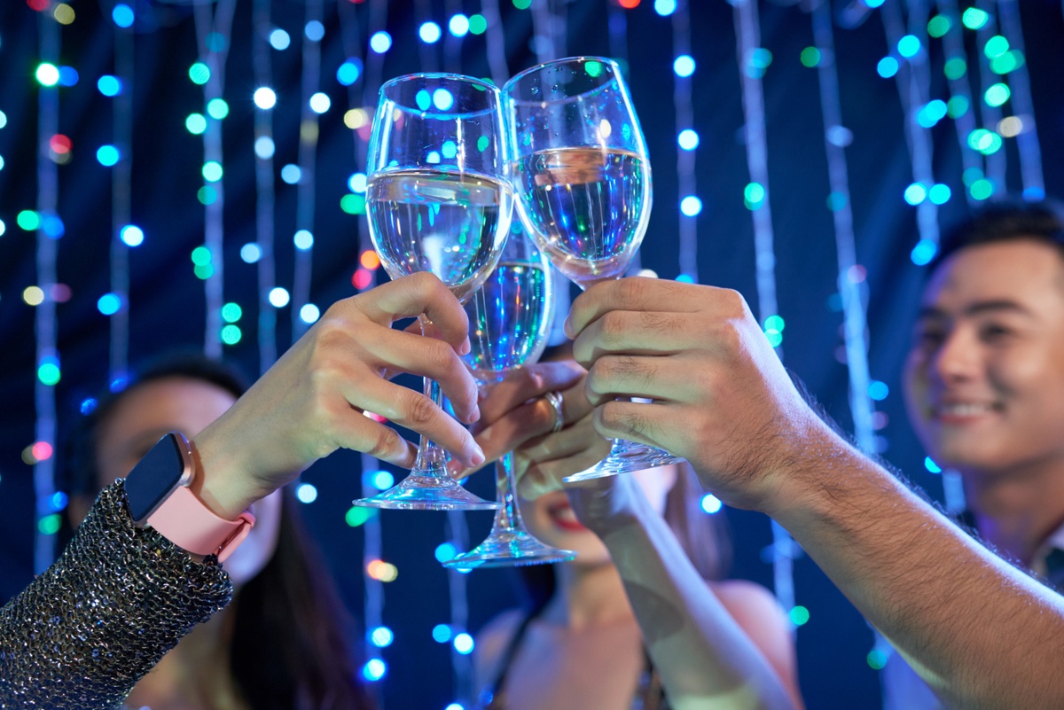 Rolling in Style: Party Bus Services Toronto - Where the Party Never Stops!