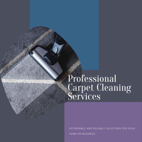 Fast and Efficient Queenstown Carpet Cleaning