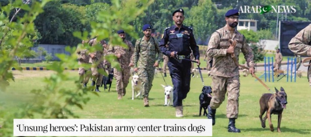 Unleashing Heroes The Army Dog Center