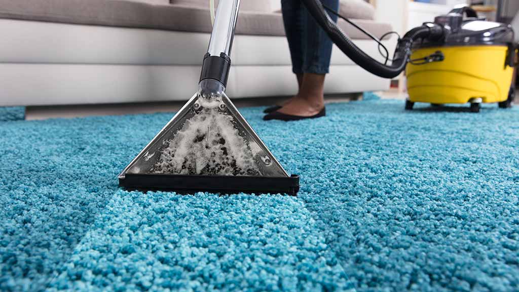 Carpet Care Chronicles: Unveiling the Secrets to a Cleaner, Healthier Home